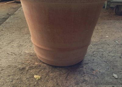 Terracotta Pot